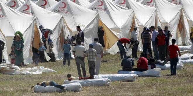 36 ألف ولادة جديدة بين اللاجئين السوريين في تركيا