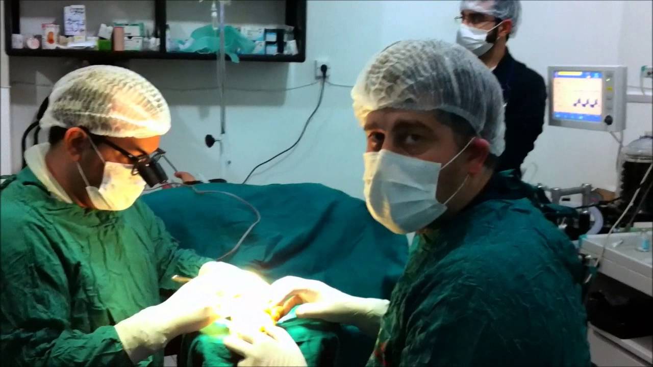 النظام السوري مسؤول عن مقتل 97% الضحايا العاملين في مجال الطب