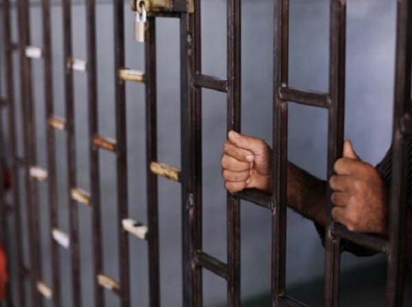 أنباء عن الإفراج عن 700 معتقل من الفروع الأمنية السورية