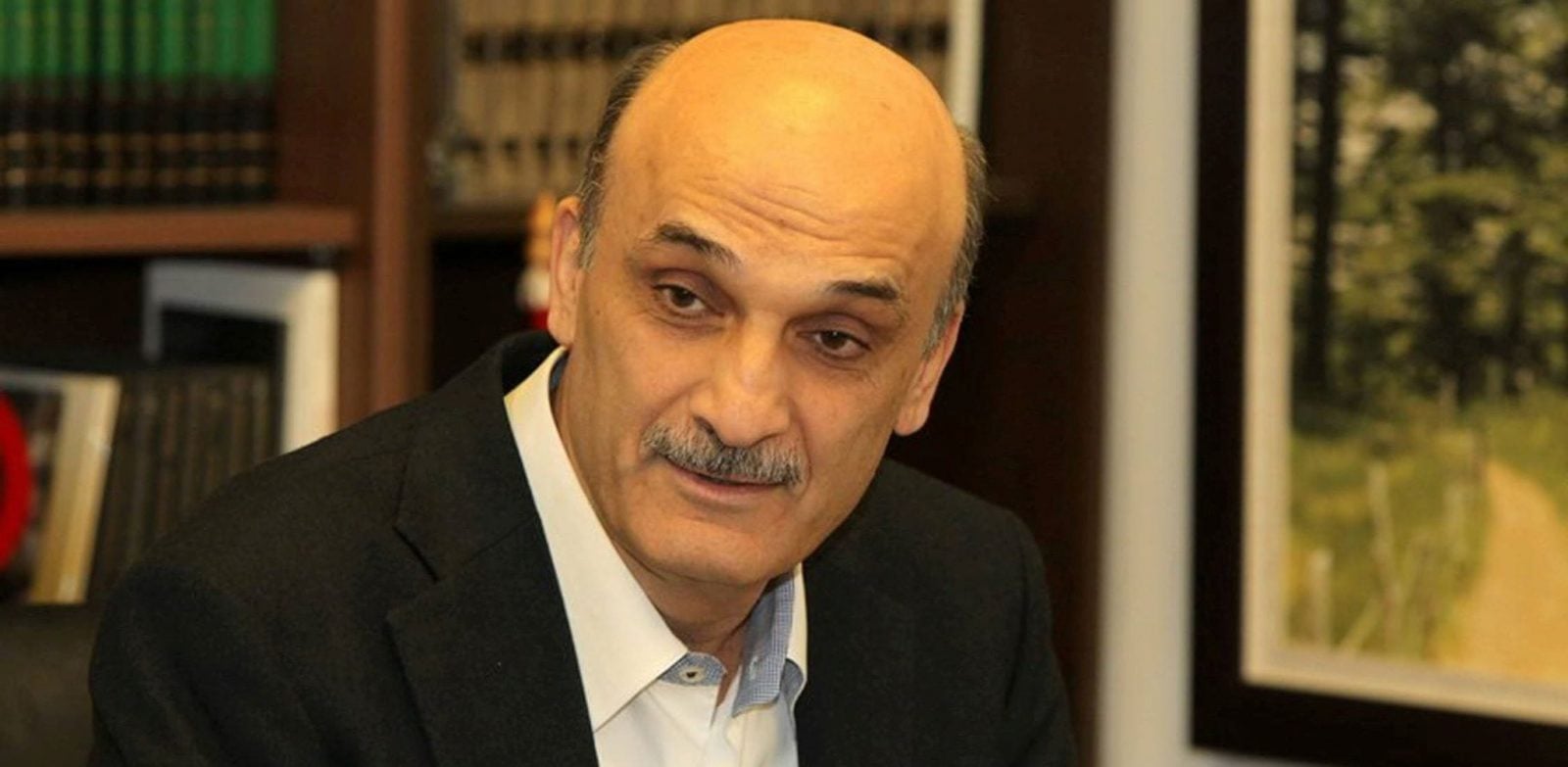 جعجع: تدخل عربي في سوريا قد تشهده الأشهر المقبلة