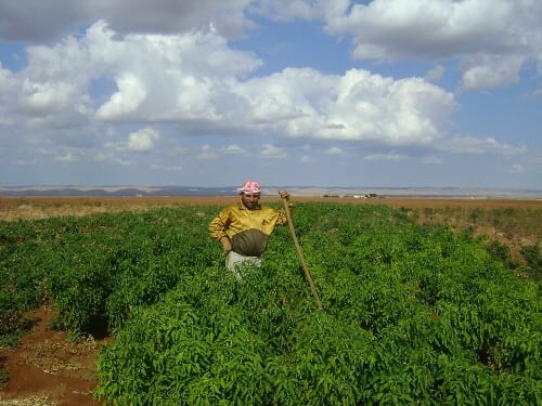 الأسايش تعتقل عدداً من المزارعين في القامشلي وتصادر مضخاتهم