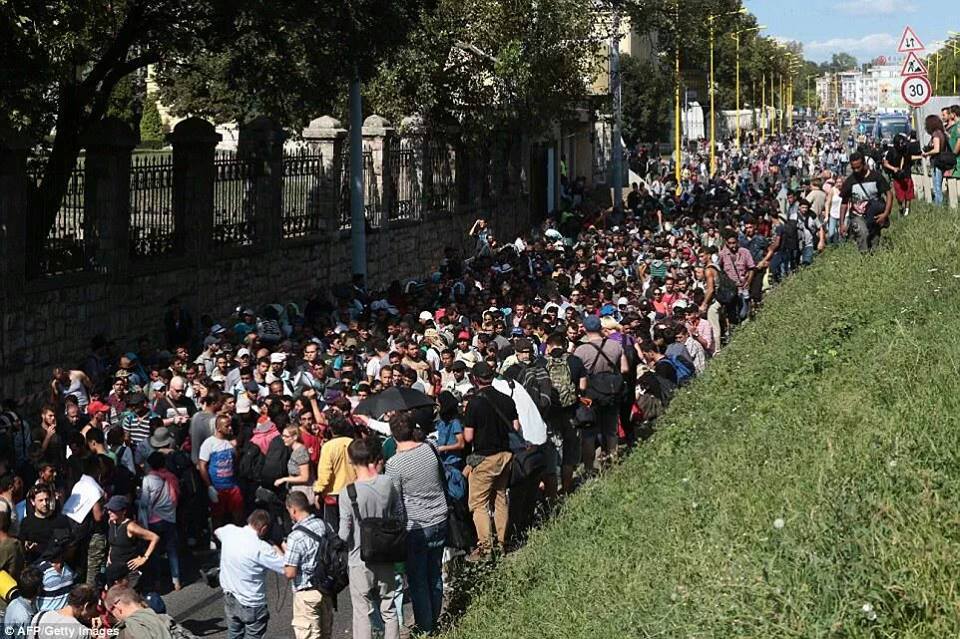 توجه أكثر من ألف شخص من المجر نحو الحدود النمساوية سيراً على الأقدام