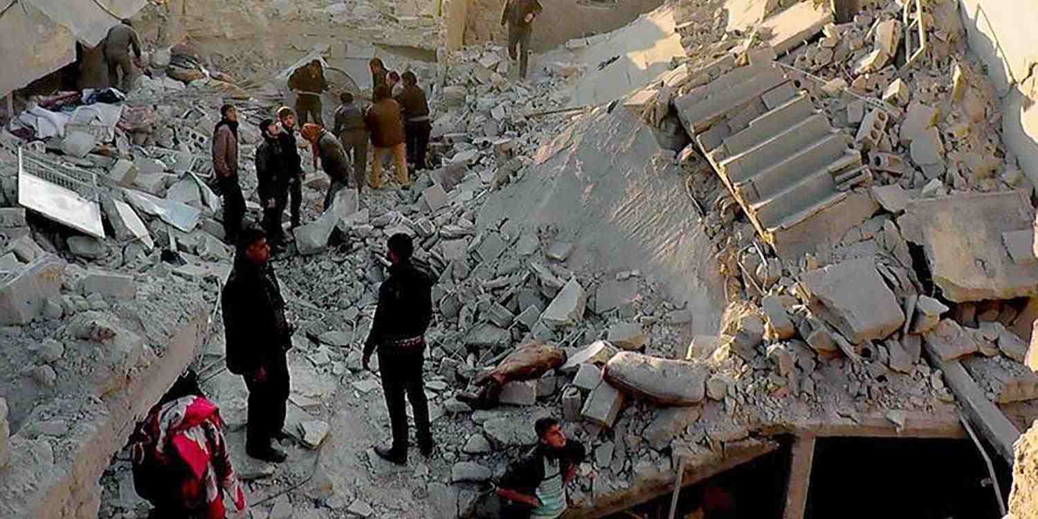 مطلوب دلافين للعيش المشترك