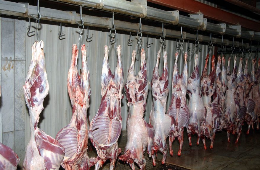 ارتفاع الأسعار يحرم السوريين اللحوم الحمراء