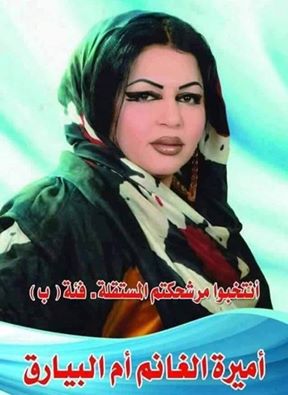 رئيس المجلس التنفيذي بالإدارة الذاتية للحل: لن نسمح للنظام بإجراء أية انتخابات في مناطقنا