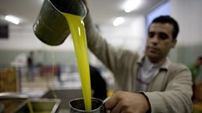 اتهامات متبادلة بين اتحاد المصدرين ومكتب زيت الزيتون حول التلاعب بالأسعار ودعم السماسرة