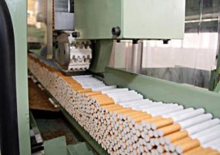 مؤسسة التبغ ترفع أسعار شراؤه من المزارعين بنسبة 60%