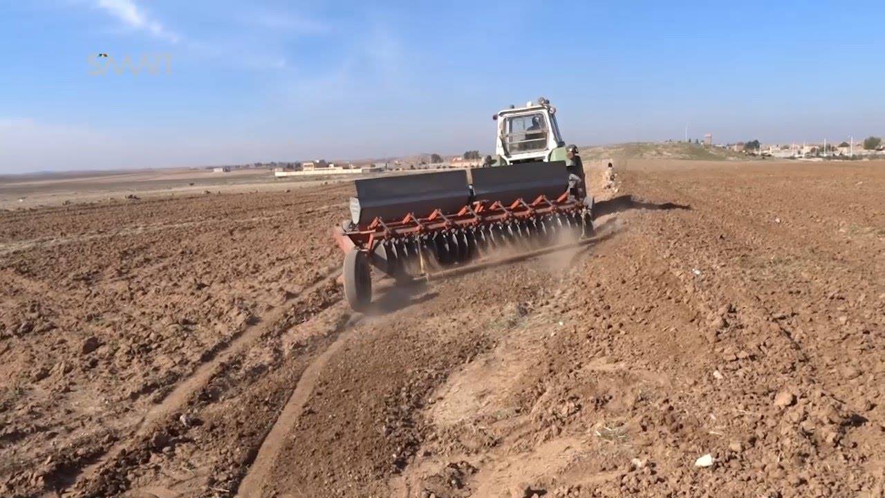 مساعدات مالية لتشجع المحاصيل الأساسية في ريف الدرباسية