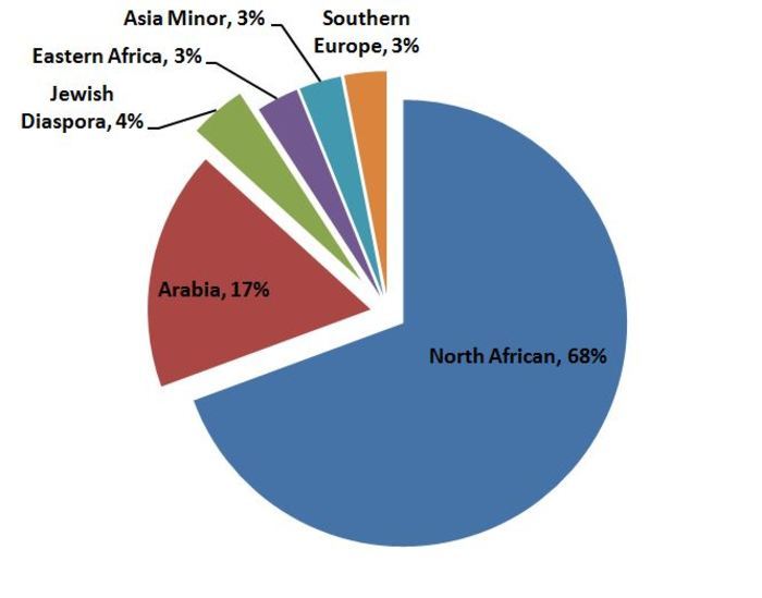 ناشيونال جيوغرافيك: 56% من الإيرانيين أصولهم عربية