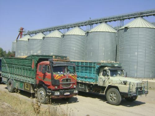 الحسكة: توريد 500 طن قمح يومياً إلى مراكز الحبوب لتزويد الأفران بالطحين