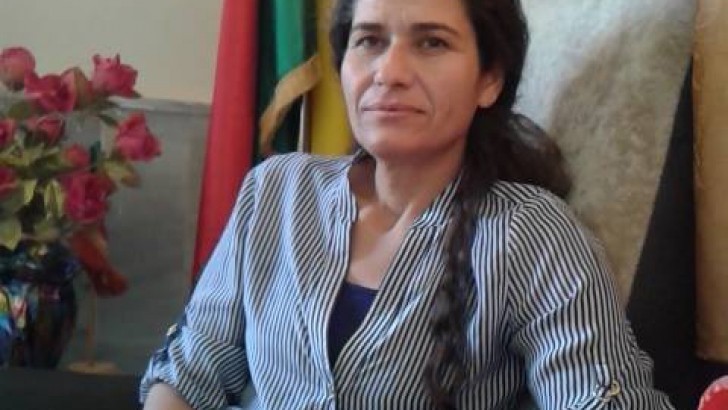 مجلس سوريا الديمقراطية: النظام “يعرقل تحرير الرقة”.. والمدينة ستكون ضمن الفدرالية