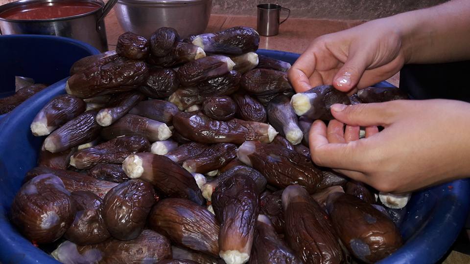 بالأرقام .. ماهي نسبة ارتفاع “المكدوسة” الواحدة هذا العام في سوريا؟!
