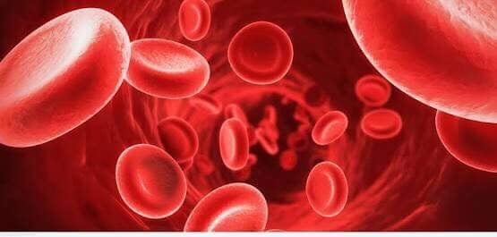 تعرف على أنواع فقر الدم وأعراض الإصابة به