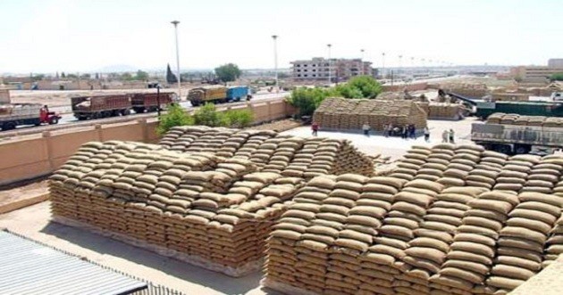 روسيا: “أكبر مطحنة حبوب في سوريا ستكون جاهزة قبل نهاية العام الحالي”
