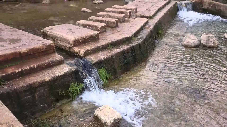 حماة: 120 حالة تسمم نتيجة المياه الملوثة في مصياف