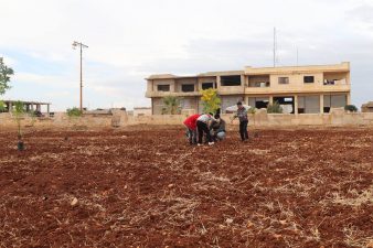 مشتل زراعي يبيع الأشجار في شمالي حمص للحد من انتشار التصحر
