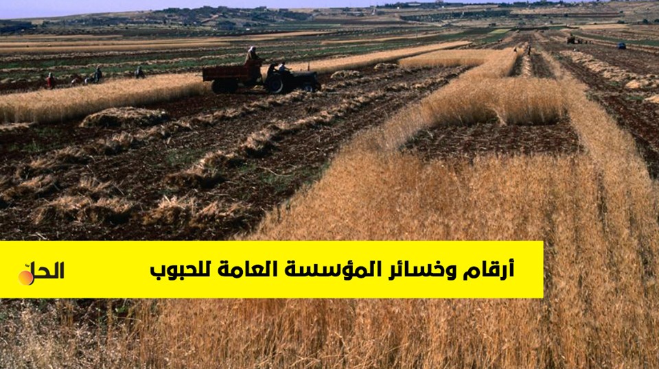معلومات حول خسائر المؤسسة العامة لتجارة وتصنيع الحبوب في سوريا