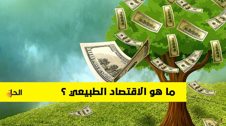 تعرف على “الاقتصاد الطبيعي” ودوره في التجارة