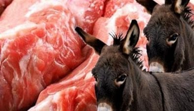 أنباء عن بيع لحوم حمير في دمشق وحكومة النظام تؤكد أنها لا تستطيع تمييز تلك اللحوم عن غيرها