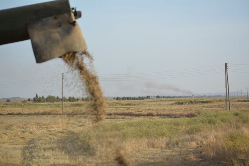 منظمات مدنية تطالب العالم بتعويض المتضررين من حرائق المحاصيل في سوريا