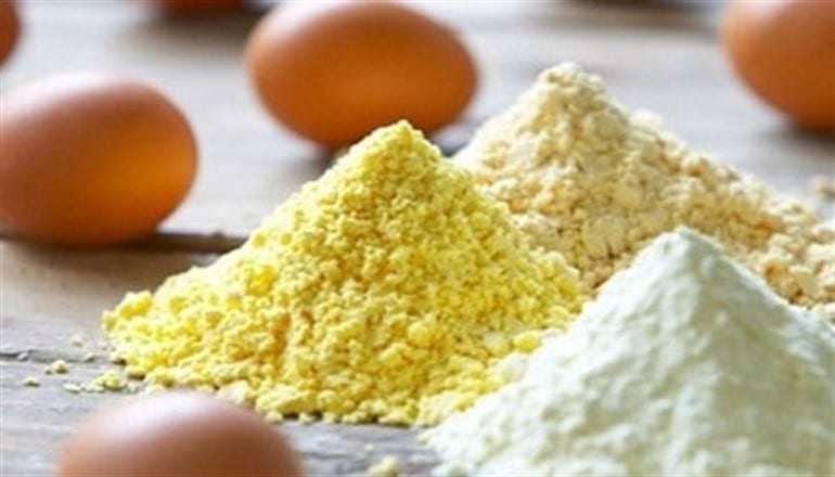 زراعة النظام تعتزم بدء إنتاج “البيض المجفف”
