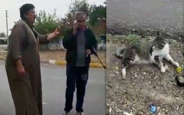 لاجئ سوري في تركيا يواجه خطر السجن بسبب قطة