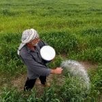 الزراعة في العراق.. مطالب بمنع المستورد وتقوية المنتج الوطني