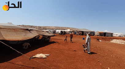 74 حالة تسمم في مخيمٍ للنازحين شمالي “إدلب”