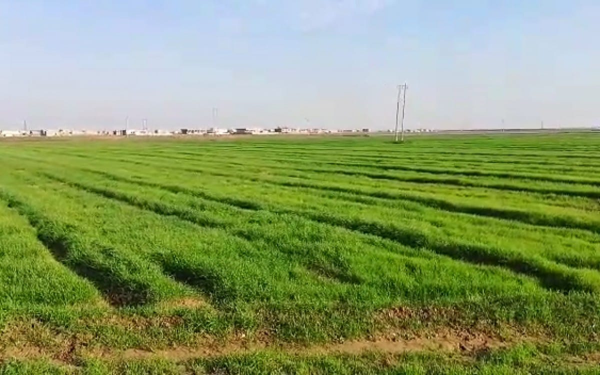 القوّات الحكوميّة تستولي على أراض زراعيّة بريف الرقة