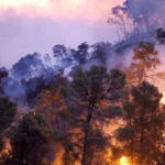 تقديرات أولية… 20 ألف دونم تضرر من حرائق جبال الغاب
