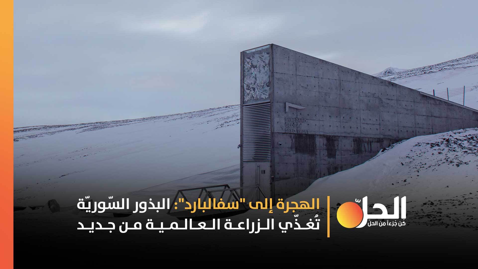الأسلحة كانت تدخل إلى سوريا والبذور تغادرها.. كيف أُنقِذت النباتات من نيران الحرب؟