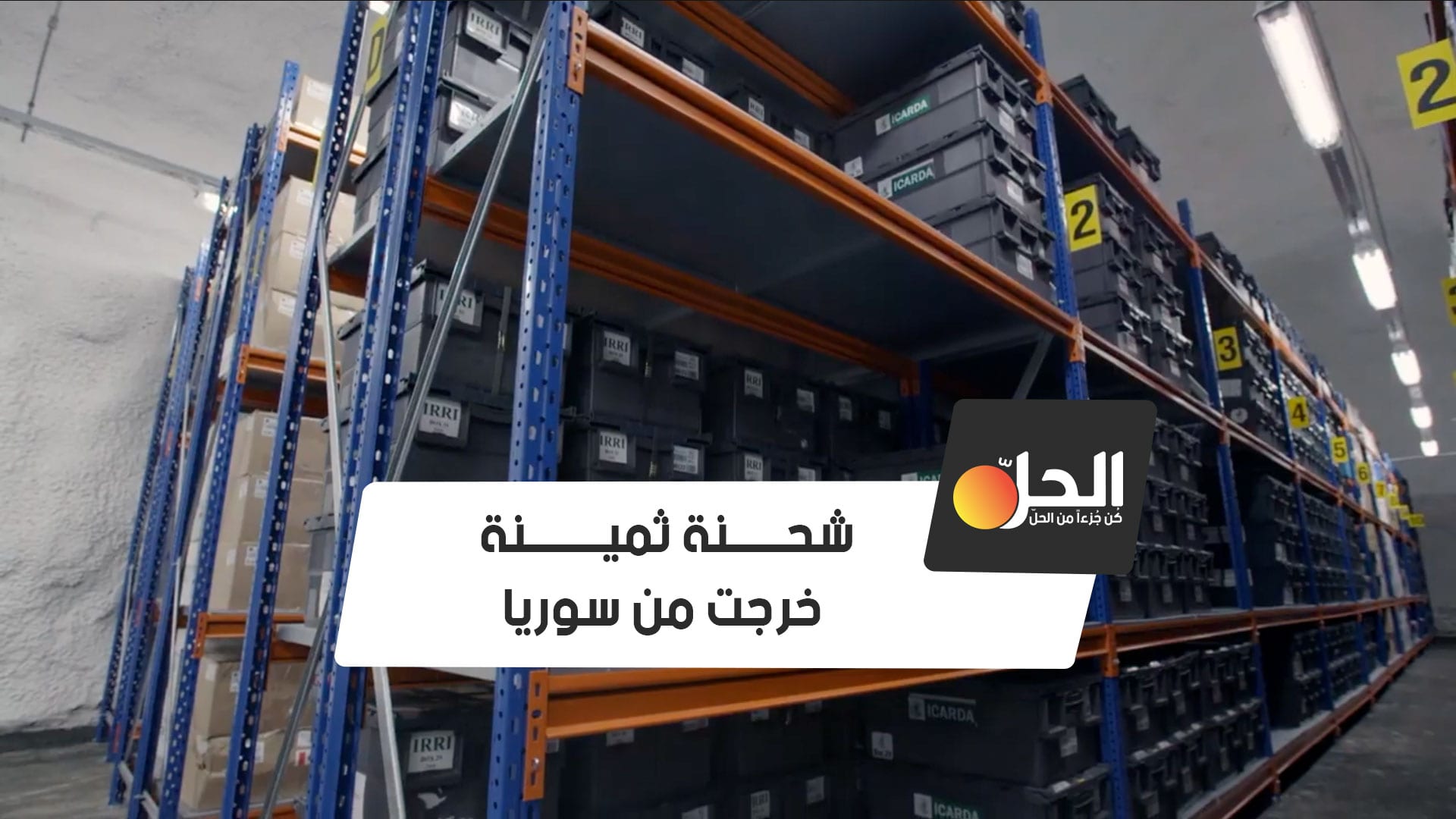 من سوريا إلى النرويج.. في ظل ظروف الحرب
