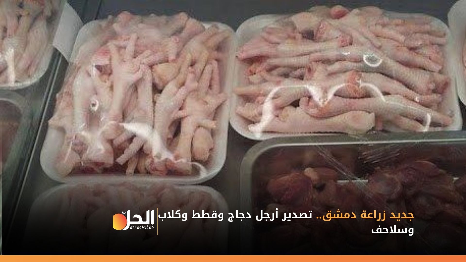 جديد زراعة دمشق.. تصدير أرجل دجاج وقطط وكلاب وسلاحف