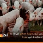رجل أعمال: تربية الخنازير حل للأزمة الاقتصادية في سوريا