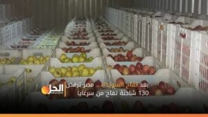 بعد تفاح السويداء… مصر ترفض 130 شاحنة تفاح من سرغايا
