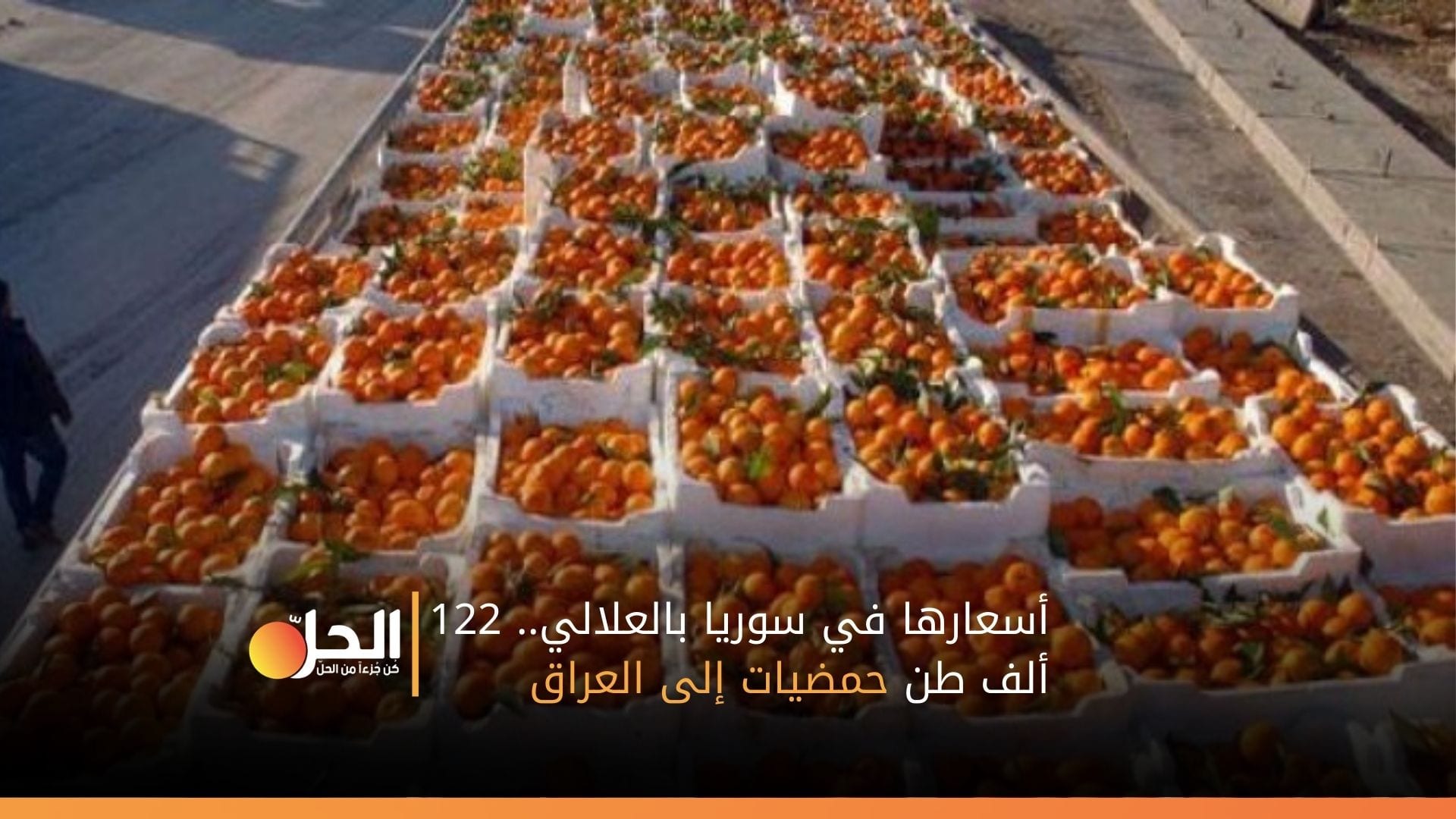 أسعارها في سوريا بالعلالي.. 122 ألف طن حمضيات إلى العراق