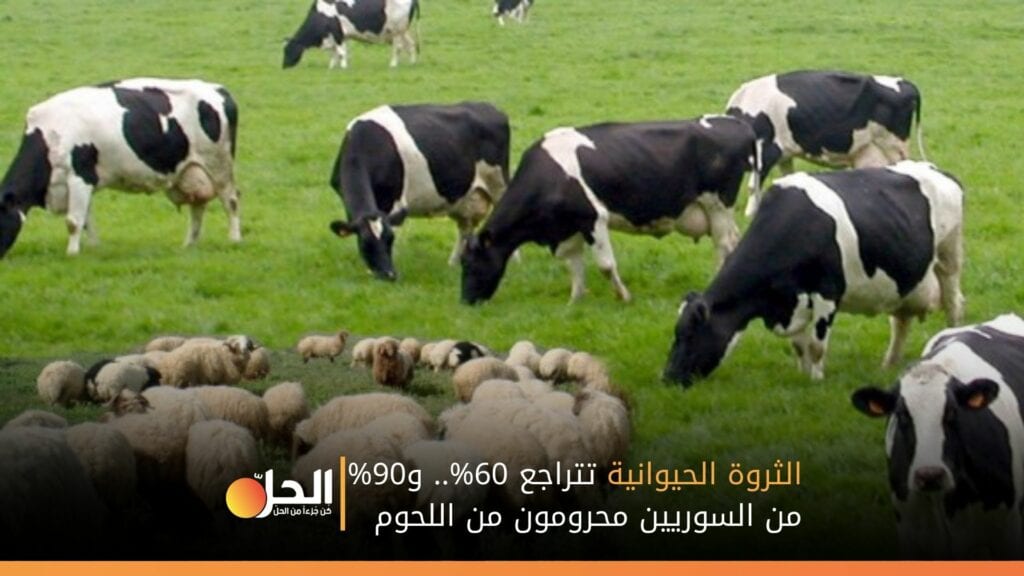 الثروة الحيوانية تتراجع 60%.. و90% من السوريين محرومون من اللحوم
