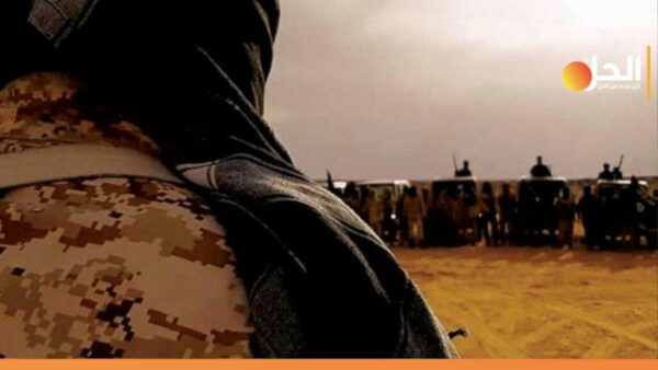 مكافحة الحركات الجهادية عنوان قمّة إفريقية فرنسية