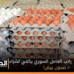 راتب العامل السوري يكفي لشراء ١٠ صحون بيض!