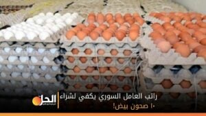 راتب العامل السوري يكفي لشراء ١٠ صحون بيض!