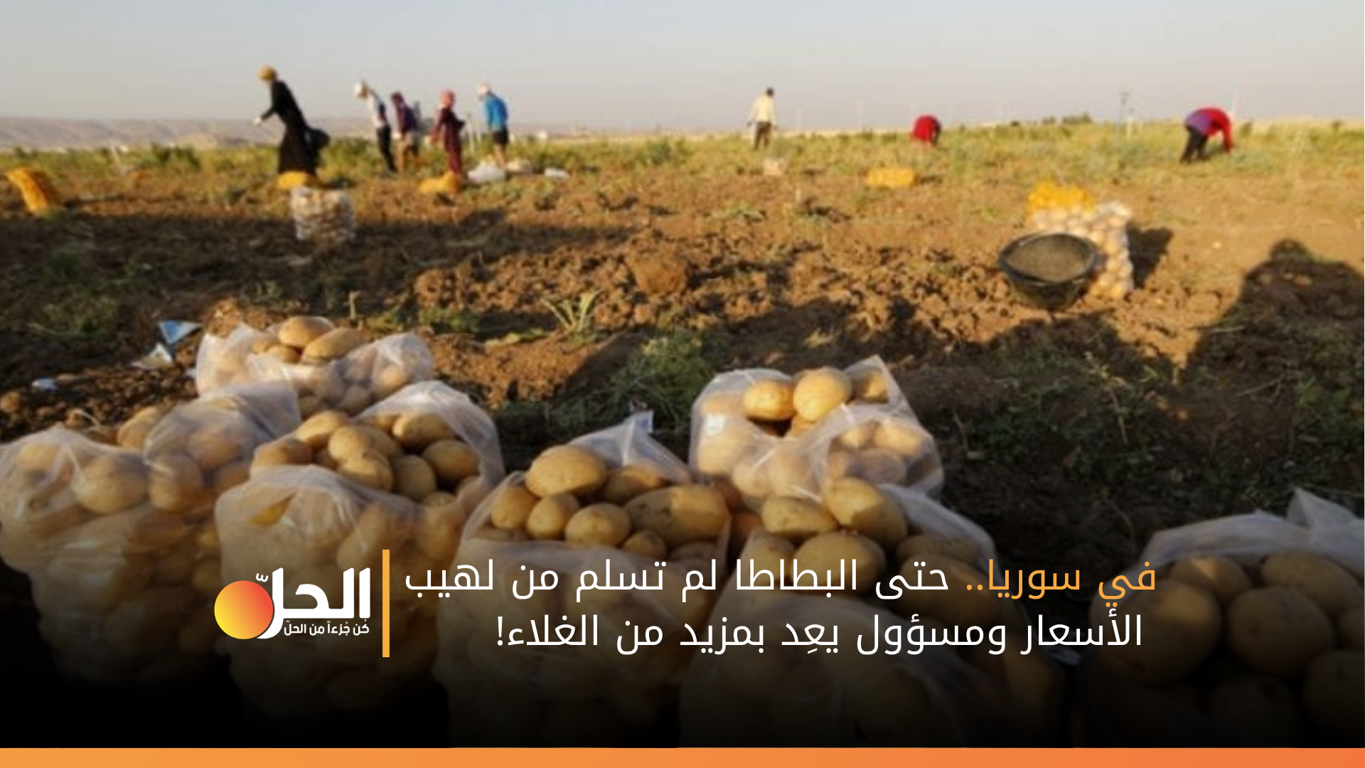 في سوريا.. حتى البطاطا لم تسلم من لهيب الأسعار ومسؤول يعِد بمزيد من الغلاء!