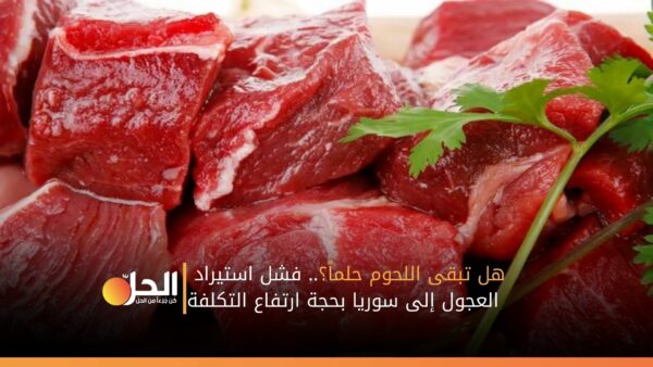 هل تبقى اللحوم حلماً؟.. فشل استيراد العجول إلى سوريا بحجة ارتفاع التكلفة