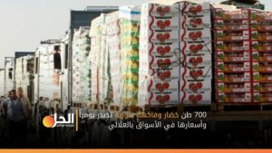 700 طن خضار وفاكهة سورية تصدر يومياً.. وأسعارها في الأسواق بالعلالي