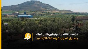 المزارعُ المنهوبة: كيف تستولي الحكومةُ السُّوريّة على أراضي المُهجّرين بشكلٍ غير قانوني؟ 
