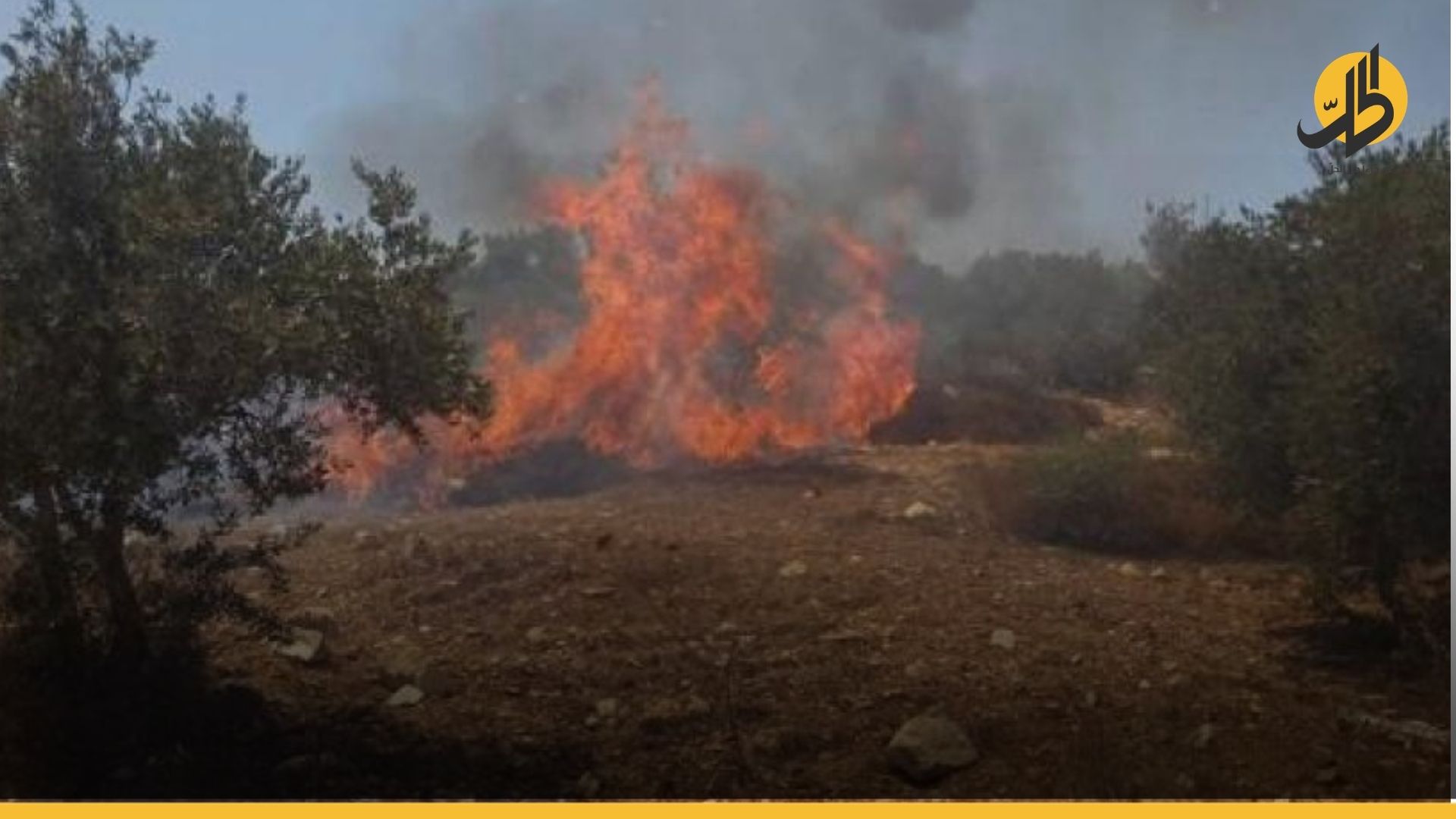 حريق ضخم في غابات “ماوت” بالسليمانية