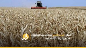 سباق شراء القمح ينطلق بين السلطات السورية والإدارة الذاتية