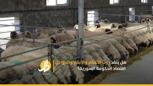 هل ينقذ روث الأغنام والأبقار والدواجن اقتصاد الحكومة السورية؟
