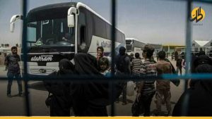 وصول 11 حافلة تحوي عوائل “داعش” من سوريا إلى سنجار العراقية