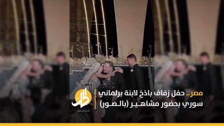 مصر.. حفل زفاف باذخ لابنة برلماني سوري بحضور مشاهير (بالصور)