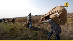 منظمة الأغذيّة والزراعة توفّر فرص عمل جديدة للسورييّن في تركيا
